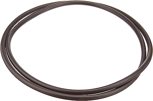 XStream FILTRE À CARTOUCHE Oring DE CORP - HAYWARD