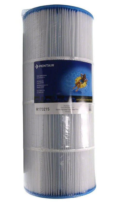 Cartouche de Remplacement Pentair R173217 – Clean & Clear RP 200 pi²