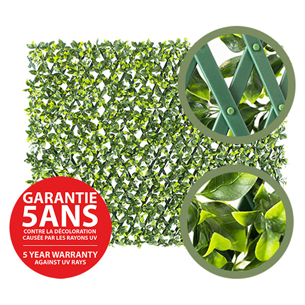TREILLIS EXTENSIBLE DE FEUILLAGE (STRUCTURE VERTE), 39 X 78''