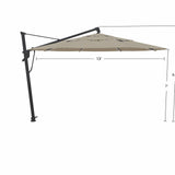 Parasol Cantilever Treasure Garden Starlux AKZ Plus 13’ Octogonal Beacon Ash | Parasol Déporté avec Lumières Intégrées