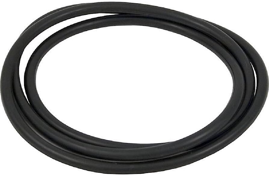 XStream FILTRE À CARTOUCHE Oring DE CORP - HAYWARD