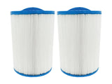 Endless Pools 77728 - Cartouche de Filtration pour Swim Spa (Pack de 2)