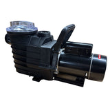 Pompe de piscine creusée LX 1.65 HP