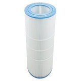 Cartouche de Remplacement Pentair R173215 – 100 pi² pour Filtre Clean & Clear RP