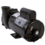 WATERWAY EXECUTIVE PUMP 56F 4HP 2 SPEED 2"/2"