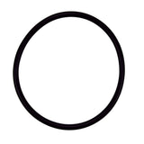 Pentair R172009Z Replacement O-ring for Rainbow Automatic Chemical Feeder Lid