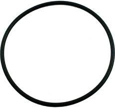 Pentair 354533 – Joint Torique de Couvercle (O-Ring) pour Pompe Sta-Rite Dynamo Hors-Terre